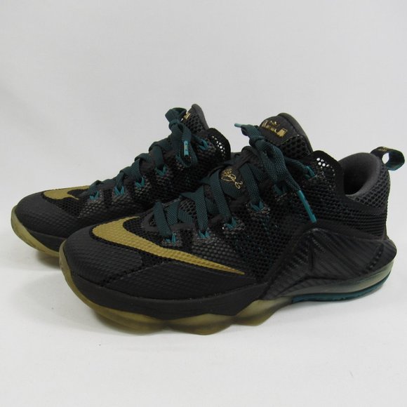 lebron 12 low carbon fiber